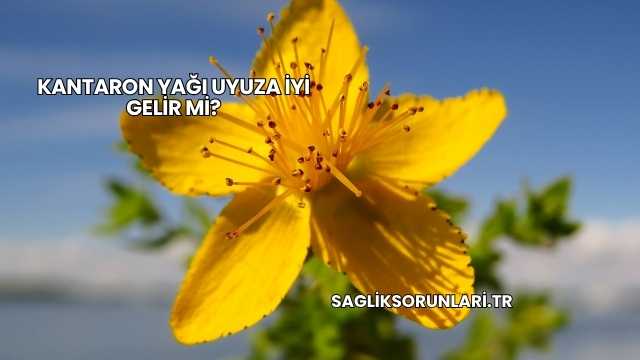 Kantaron Yağı Uyuza İyi Gelir mi?