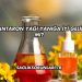 Kantaron Yağı Yanığa İyi Gelir mi?