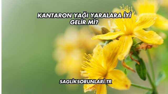 Kantaron Yağı Yaralara İyi Gelir mi?