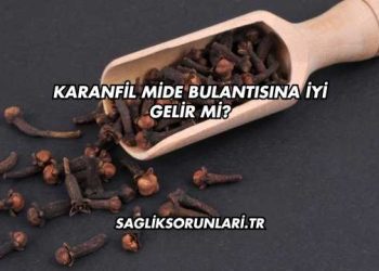 Karanfil Mide Bulantısına İyi Gelir mi?