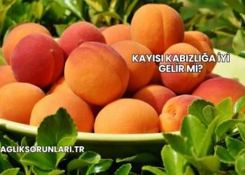 Kayısı Kabızlığa İyi Gelir mi?