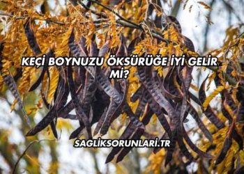 Keçi Boynuzu Öksürüğe İyi Gelir mi?
