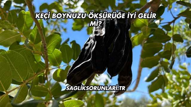 Keçi Boynuzu Öksürüğe İyi Gelir mi?