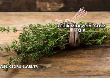 Kekik Mideye İyi Gelir mi?