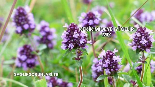 Kekik Mideye İyi Gelir mi?