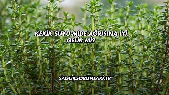 Kekik Suyu Mide Ağrısına İyi Gelir mi?
