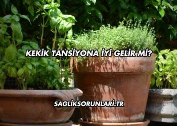 Kekik Tansiyona İyi Gelir mi?