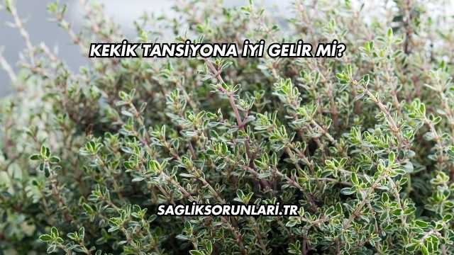 Kekik Tansiyona İyi Gelir mi?
