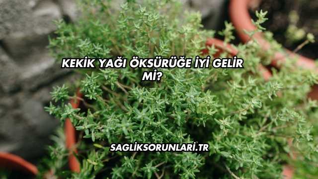 Kekik Yağı Öksürüğe İyi Gelir mi?