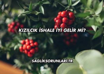 Kızılcık İshale İyi Gelir mi?