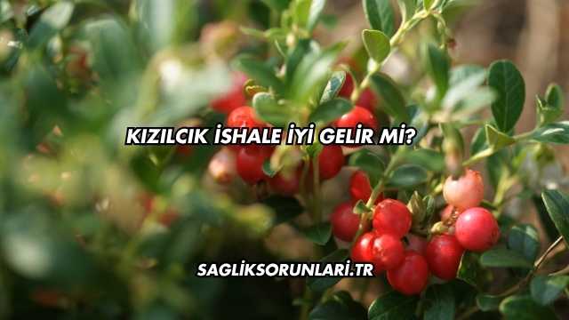 Kızılcık İshale İyi Gelir mi?