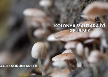 Kolonya Mantara İyi Gelir mi?