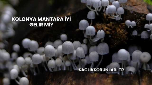 Kolonya Mantara İyi Gelir mi?