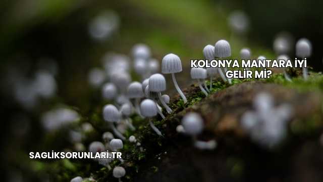 Kolonya Mantara İyi Gelir mi?