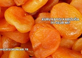 Kuru Kayısı Kabızlığa İyi Gelir mi?