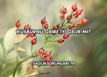 Kuşburnu Gribe İyi Gelir mi?