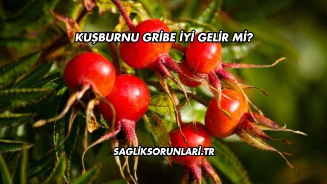 Kuşburnu Gribe İyi Gelir mi?