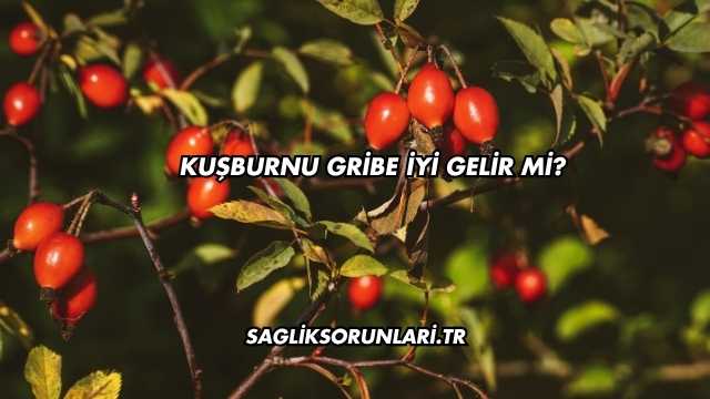 Kuşburnu Gribe İyi Gelir mi?