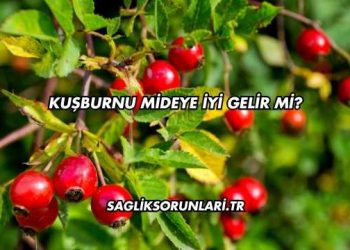 Kuşburnu Mideye İyi Gelir mi?