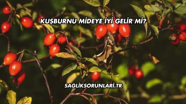 Kuşburnu Mideye İyi Gelir mi?