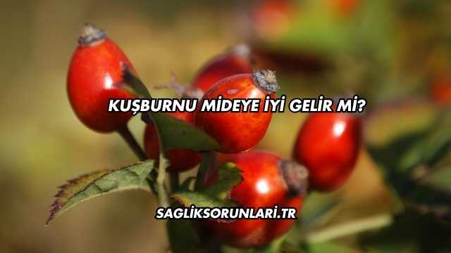 Kuşburnu Mideye İyi Gelir mi?