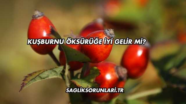 Kuşburnu Öksürüğe İyi Gelir mi?