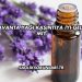 Lavanta Yağı Kaşıntıya İyi Gelir mi?