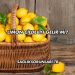 Limon Cilde İyi Gelir mi?
