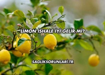 Limon İshale İyi Gelir mi?