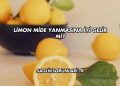 Limon Mide Yanmasına İyi Gelir mi?