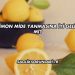 Limon Mide Yanmasına İyi Gelir mi?