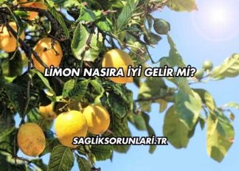 Limon Nasıra İyi Gelir mi?