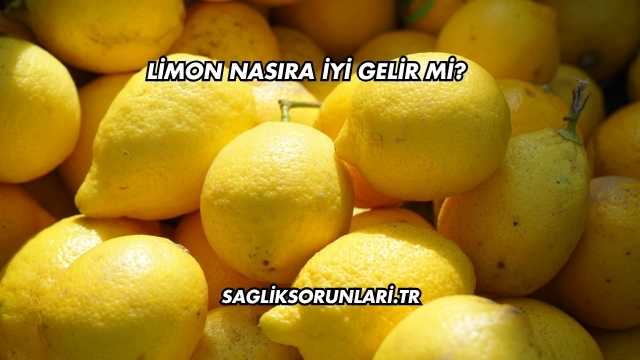 Limon Nasıra İyi Gelir mi?