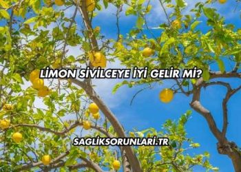 Limon Sivilceye İyi Gelir mi?