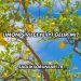 Limon Sivilceye İyi Gelir mi?