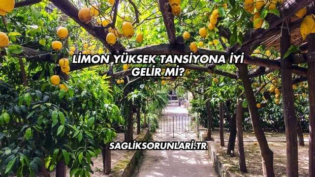 Limon Yüksek Tansiyona İyi Gelir mi?