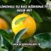 Limonlu Su Baş Ağrısına İyi Gelir mi