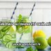 Limonlu Su İshale İyi Gelir mi?