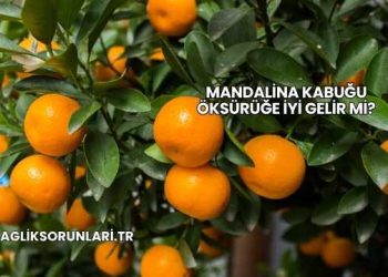 Mandalina Kabuğu Öksürüğe İyi Gelir mi?