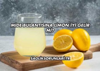 Mide Bulantısına Limon İyi Gelir mi?