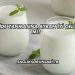 Mide Yanmasına Ayran İyi Gelir mi?