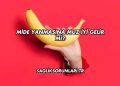 Mide Yanmasına Muz İyi Gelir mi?