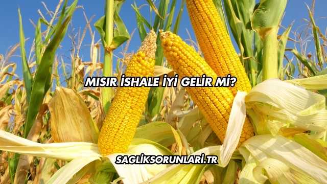 Mısır İshale İyi Gelir mi?