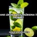 Nane Limon Boğaz Ağrısına İyi Gelir mi