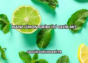 Nane Limon Gribe İyi Gelir mi?