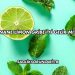 Nane Limon Gribe İyi Gelir mi?
