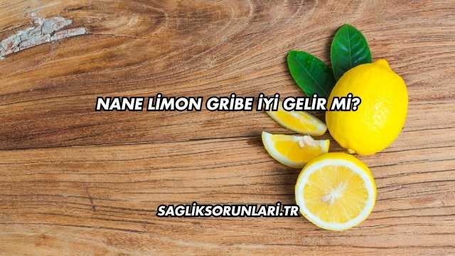 Nane Limon Gribe İyi Gelir mi?