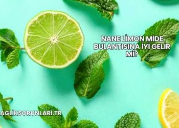 Nane Limon Mide Bulantısına İyi Gelir mi?