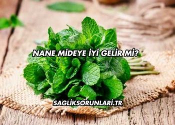 Nane Mideye İyi Gelir mi?