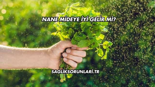 Nane Mideye İyi Gelir mi?